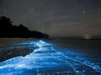 스스로 빛내는 플랑크톤 때문에 바다의 은하수라 불리는 ‘몰디브 바드후섬’ 클라스 | Best places to travel, Places to see... 