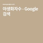 야생화자수 - Google 검색 | 야생화, 검색