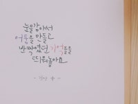 900+ 블락비 ideas in 2021 | block b, zico, zico block b
