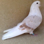 파랑새에 있는 경순 남님의 핀