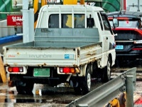 그간 목격했던 지역번호판 차량들