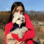 Пин от пользователя ✧*ライザ❀✿＊* на доске 박수영 🪴◍