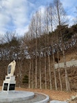 함안의 역사 문화 자연에 있는 Nuburissam님의 핀 - 2020 | 역사, 문화, 자연