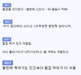 의외로 119가 해주는 일