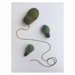 한라타워맨션의 나무들 #trees##우리아파트 한라타워맨션의 나무들 #trees##우리아파트