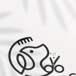 이천애견미용 | 파인독 | 애견호텔 | 애견유치원 | 대형견미용 on Instagram: 안녕하세요 꽃담멍발소 원장님께 인수받고, 애견미용&호텔&유치원... 