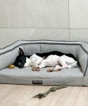 Caring for a New Puppy 우리 집에수 제일 팔자 좋은 뚠뚜니 in 2020 | New puppy, Jack russell, Jack russell terrier