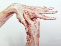 제품 스케지 | 아크릴화, 동양화, 손 그림 참고자료