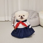 Pin on 루디와 퐁키