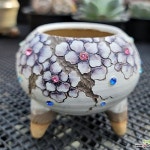 플라워캣 명품수제화분 - 다육화분(Succulent Pot) - 2023 | 식물, 하지