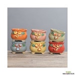 꽃잎/다육화분/행복상회/행복한꽃그릇 - 다육화분(Succulent Pot) 꽃잎/다육화분/행복상회/행복한꽃그릇 - 다육화분(Succulent... 