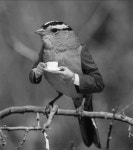 15 best fun images on Pinterest | 웃긴 사진, 웃긴 것 및 Random stuff fun