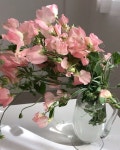 숲속을걷다 on Instagram: “정말... #daily #일상 #숲속을걷다 #witwflower... bouquet…” 숲속을걷다 on Instagram: “정말... 
