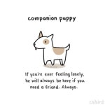 Beautiful에 관한 10개의 최상의 Pinterest 이미지 | 웃긴 사진, 웃긴 및 웃긴 것 Beautiful