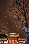 수원 화성 신풍루- 김현락 작 | Travel south, South korea, House styles