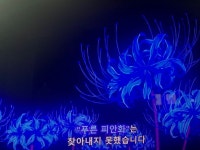 푸른 피안화 푸른 피안화 | 문학, 영감 인용구, 영화