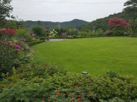 강화 해오름 힐링센터: 아이디얼가든 (idealgarden)의 앞마당 | 호미파이 & homify