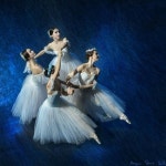 Ballerina에 있는 Katsumi Ishizaki님의 핀 | 발레