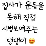 친구야 운동좀해 @ 개만도 못한 친구 태그 . . . #운동#운동남#헬스남#헬스녀#퇴근후#저녁#애견인#산책#공원#쌀쌀#춥다#다이어트#살빼자#유머... 