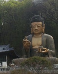 Pin page 유여-buddhism~에 있는 지안 Roh님의 핀 | 색, 상, 출장