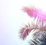 Bloom, Nature에 있는 MJ. Lee님의 핀