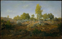 ▣ 프랑스의 화가 테오도르 루소 ▣ 프랑스의 화가 테오도르 루소 | Theodore rousseau, Landscape artist, Metropolitan... 