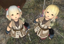 라라펠에 대한 이미지 검색결과