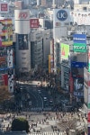 Home에 관한 18개의 최상의 Pinterest 이미지 | 워싱턴 주, 시애틀 워싱턴 및 태평양 북서부 Home