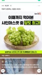 샤인 머스캣 당도 광고