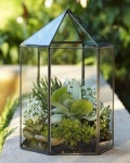 COOL Spring Terrarium Decor 2017 Picture | 실내정원, 테라리움, 다육 식물