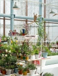 Pin on oops-a-daisy CAFE. 웁스어데이지 카페 안산점
