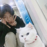 동물병원 고양이