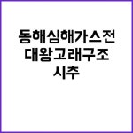 대왕고래 구조 동해 심해 가스전 시추 선정! | 대구진 대왕고래 구조 동해 심해 가스전 시추 선정! | 대구진 | 대왕고래, 지속 가능한 에너지, 개요