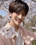 🌸🌸 IM ON A TREE ??? #BEOMHAN #범한 #cherryblossoms | K pop star, Western artist, Boy idols H. WU [BEOMHAN] on Instagram... 