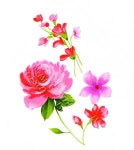 #motif #flower #꽃 #모티프 | 꽃