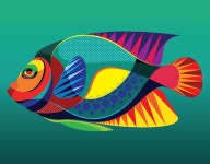 S H A D O V V S on Behance - 2020 | 예술 디자인, 현대 미술, 아크릴화