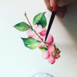 - 스노우베리🌸🎥 - ❗️Copyright ⓒ 2018. veryhyun. all rights reserved. Watercolor | Watercolor artists, Watercolor... 