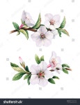 Pin en 보타니컬