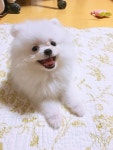 맘빈이네❤️님이 흠..에 올린 아이디어 | 구름