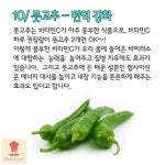 레시피스토어님의 스토리 | 요리법
