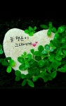 명언에 있는 010-3253-9095 JIN님의 핀 | 좋은 아침 인사, 배경화면, 사랑 카드