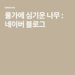 물가에 심기운 나무 : 네이버 블로그 | 블로그, 나무