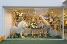 NOTICE-한사토이 매장에도 봄이 찾아왔어요