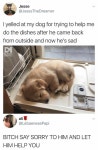 Awwwwww에 관한 71개의 최상의 Pinterest 이미지 | 웃긴 동물, 웃긴 동물 사진 및 강아지 Awwwwww