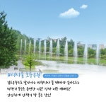 돌봄택시 서서울호수공원 - 2020