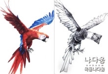 표현력에 있는 태영 김님의 핀 | 그림, 허브, 수채화