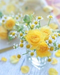 Flower&Table setting에 있는 Yuri Lee님의 핀 | 꽃, 꽃꽂이, 꽃병