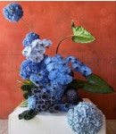 floral arrangements + installations에 있는 Jessica Hurtado님의 핀 | 꽃