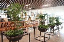 unique plant pot - 2021 | 화분