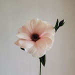 Pin by jiyeon yoon on ㄴ 종이꽃 in 2025 | Paper flowers, Crepe paper flowers, Crafts